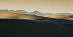 Oceano Dunes #13